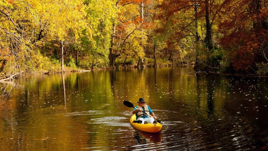 Pinnacle Mountain State Park som omfatter efterårsblade, skovområder og kajaksejlads eller kanosejlads