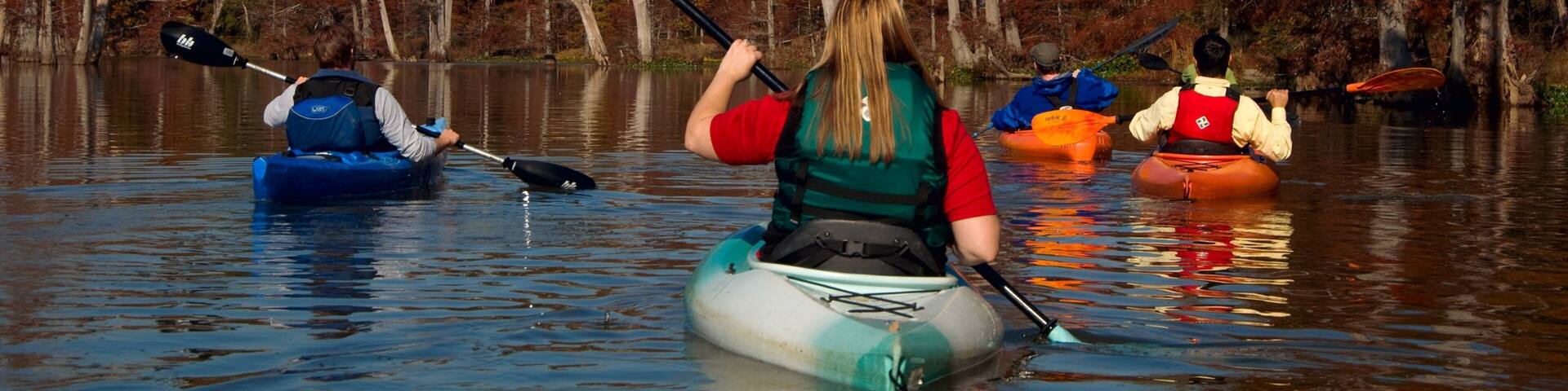 Pinnacle Mountain State Park mettant en vedette riviĂšre ou ruisseau, kayak ou canoĂ« et forĂȘts