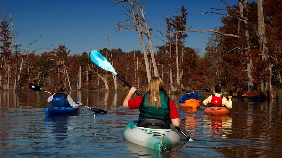 Pinnacle Mountain State Park mettant en vedette forĂȘts, riviĂšre ou ruisseau et kayak ou canoĂ«