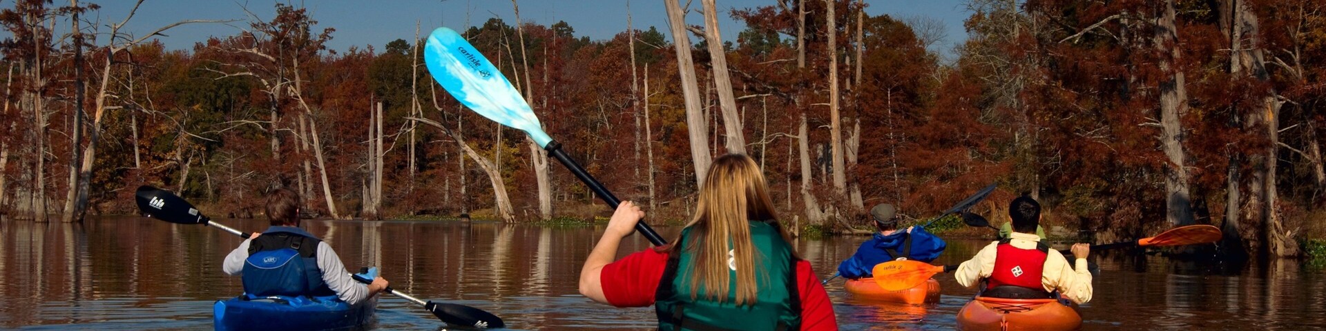 Pinnacle Mountain State Park which includes kayaking or canoeing, forest scenes and a river or creek