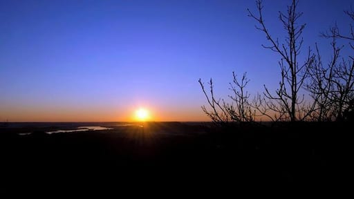 I have been to Pinnacle Mountain before but never this early in the morning. This was also the first time I went by myself.