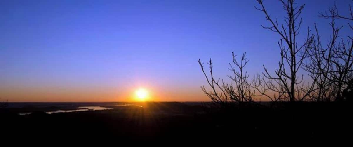 A sunset over a beach with silhouetted trees and a clear sky.