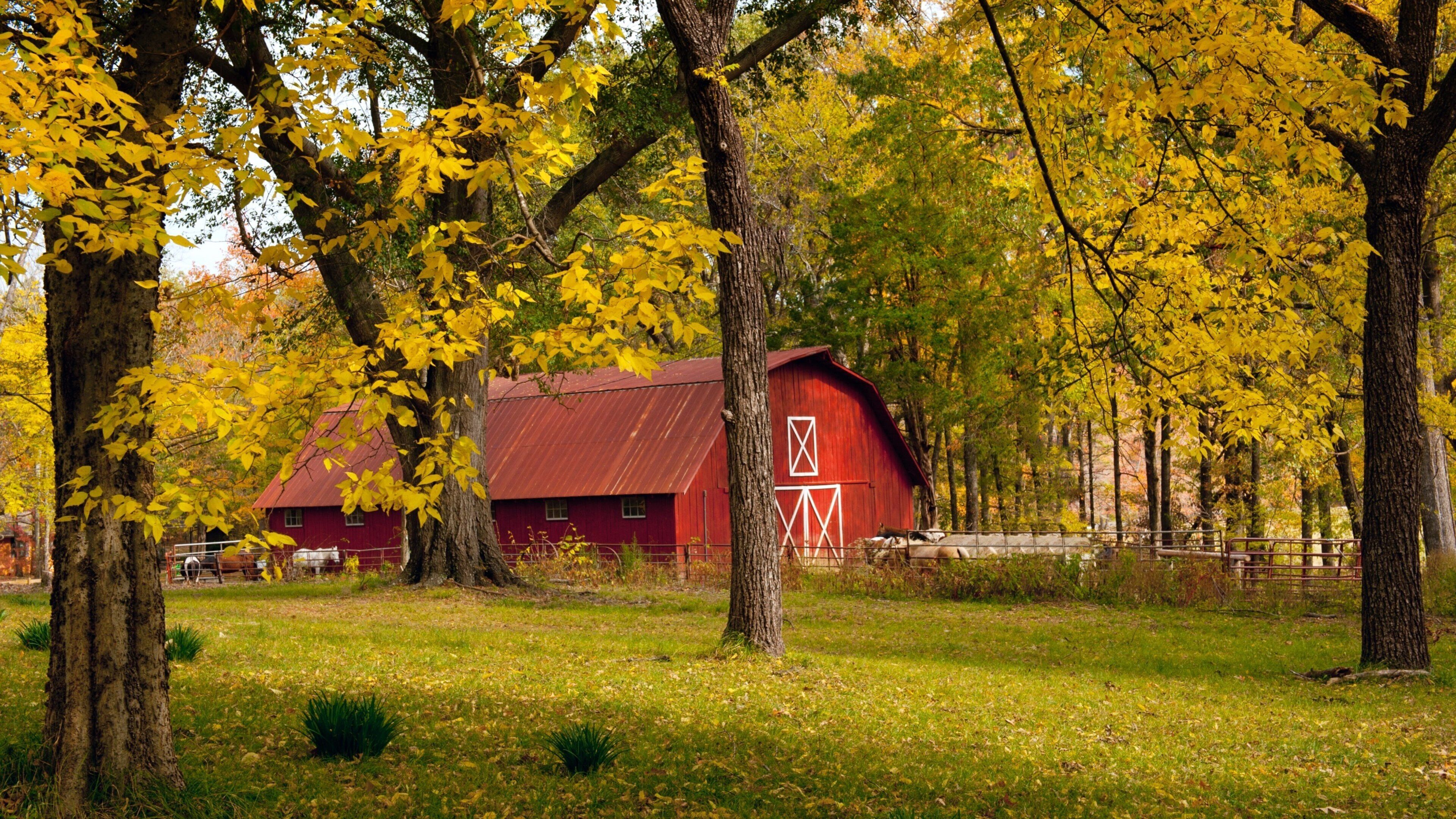 Pinnacle Mountain State Park mostrando tierra de cultivo, bosques y hojas de otoño