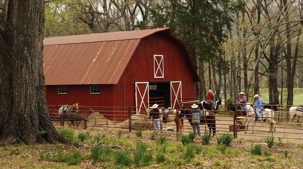 Pinnacle Mountain State Park ofreciendo equitación, tierra de cultivo y bosques