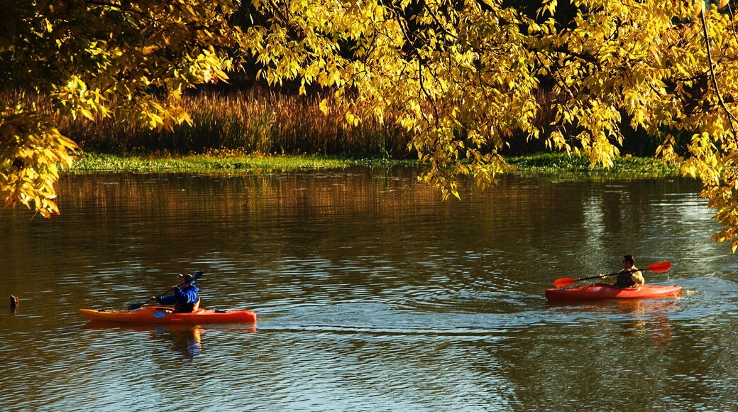 Pinnacle Mountain State Park which includes autumn colours, a river or creek and kayaking or canoeing