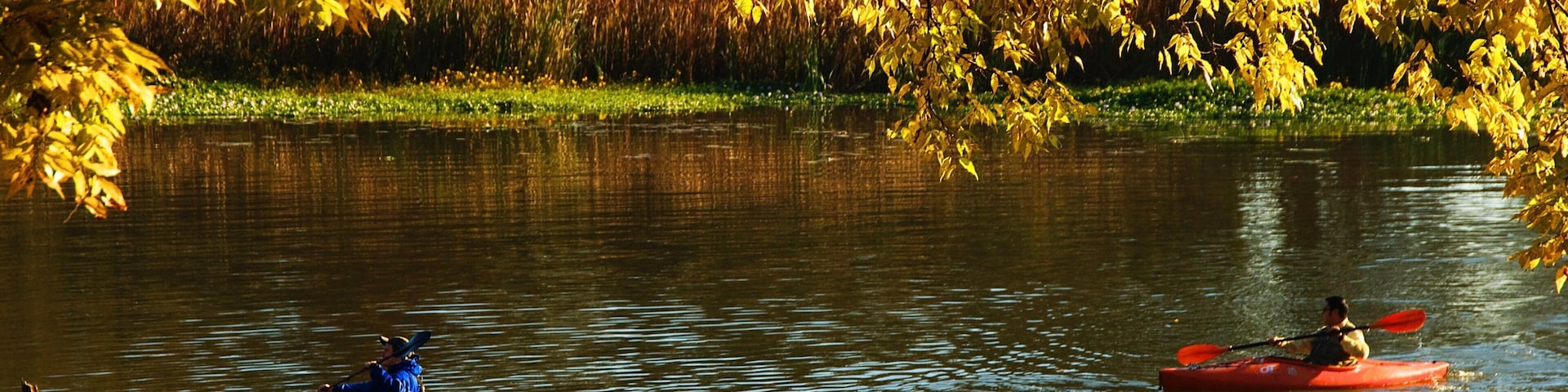 Pinnacle Mountain State Park que inclui um rio ou córrego, cores do outono e caiaque ou canoagem