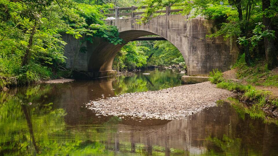 A concrete bridge over a calm river surrounded by lush greenery.