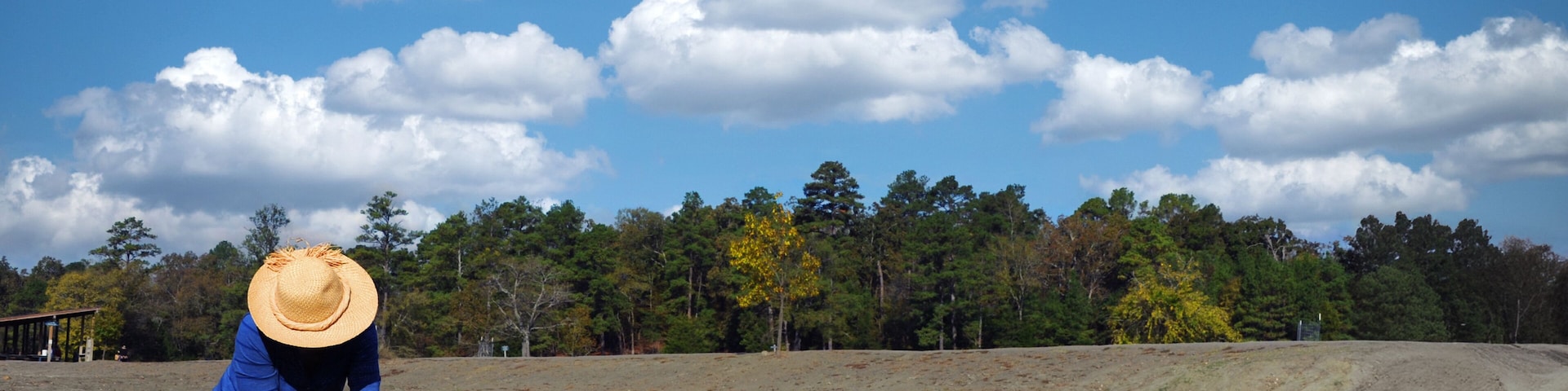 Una persona vestida de azul y con sombrero de paja trabaja en un campo de tierra usando un rastrillo, bajo un cielo azul despejado con algunas nubes y un fondo boscoso.