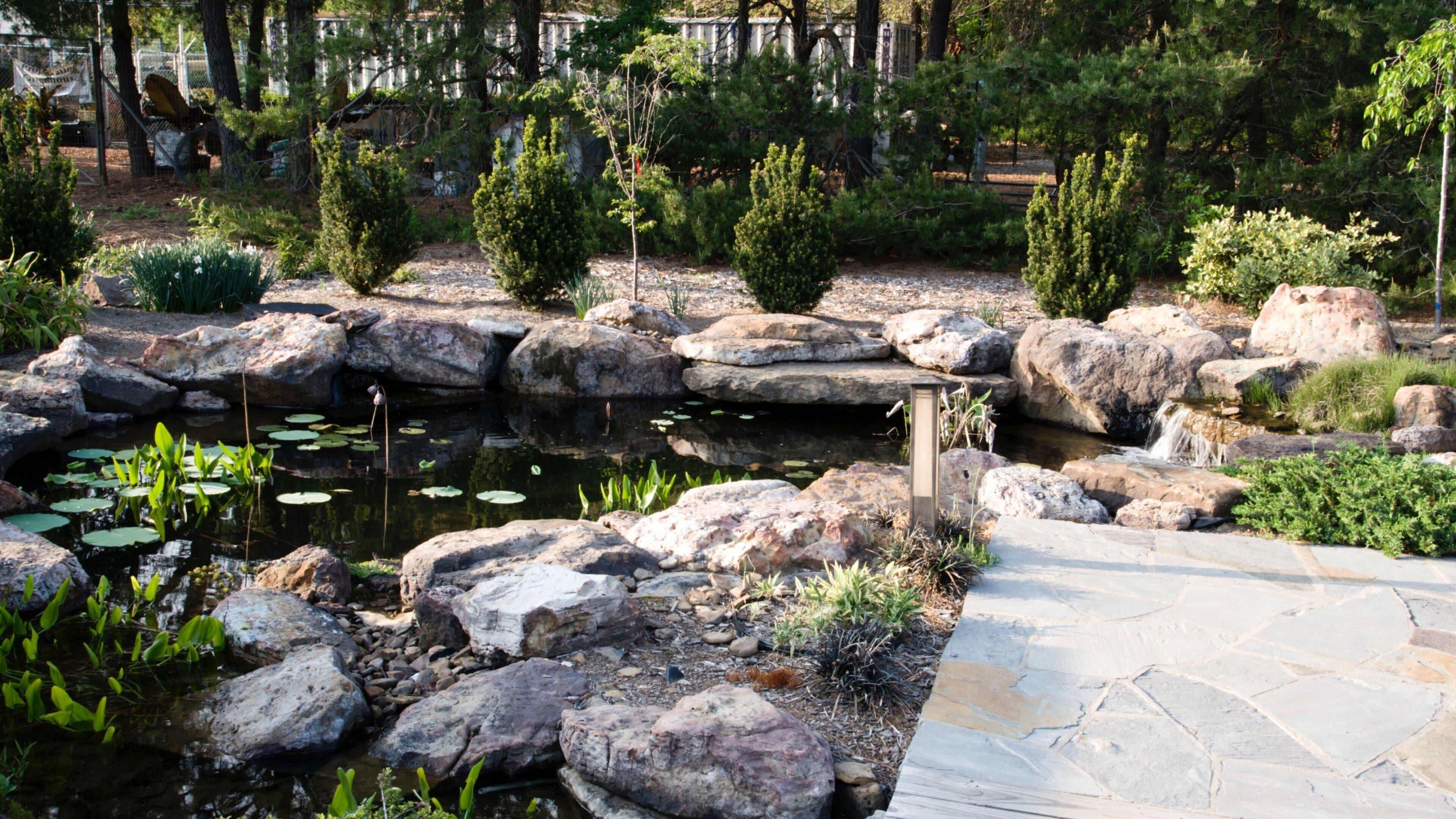 Botanische tuin van de Ozarks bevat een vijver en een tuin