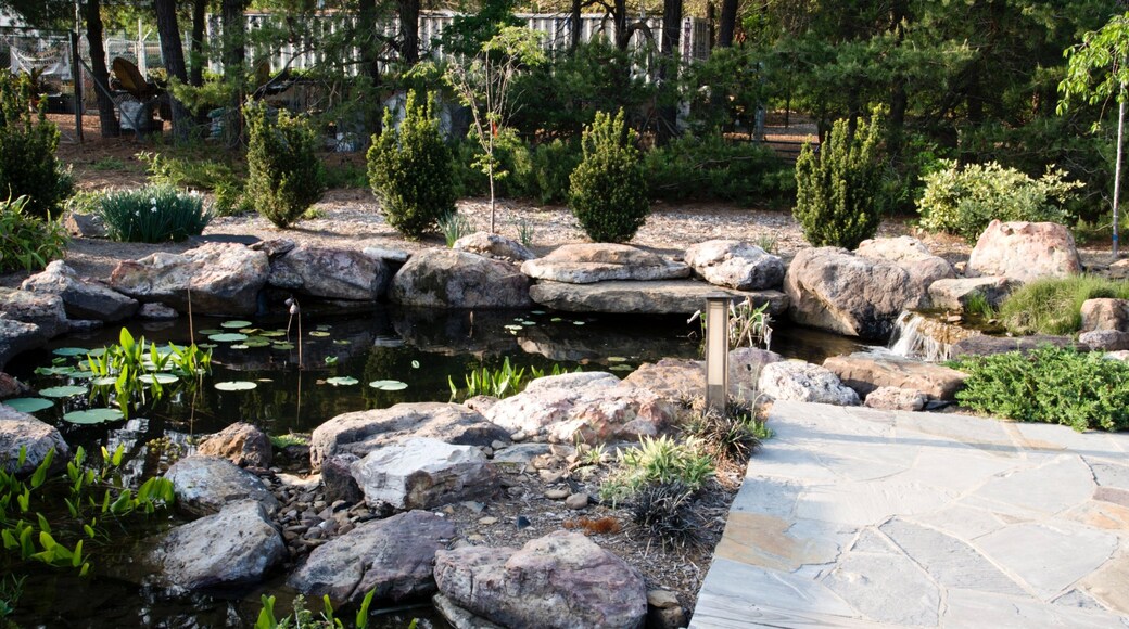 Botanische tuin van de Ozarks bevat een vijver en een tuin