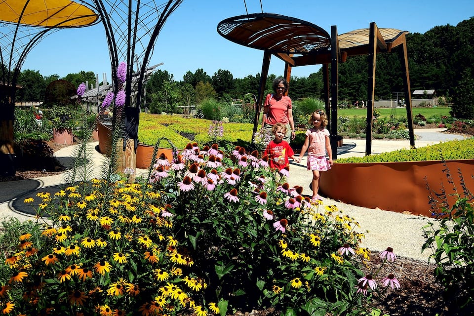 A garden with yellow and pink flowers, a wooden pergola, and a metal structure.