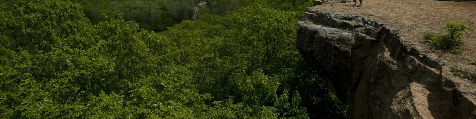 A rocky cliff overlooking a dense forest with a valley below.