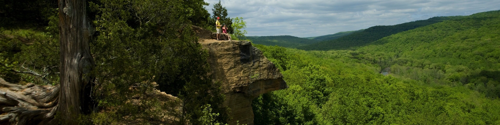 Parque Estadual Devil\'s Den mostrando paisagem, cenas tranquilas e paisagens