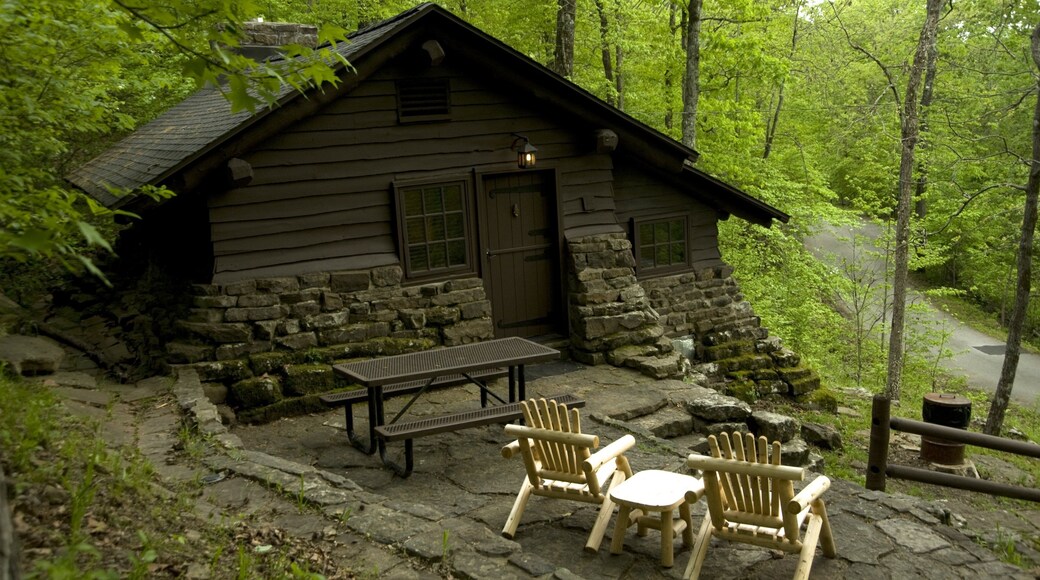 Devil\'s Den State Park