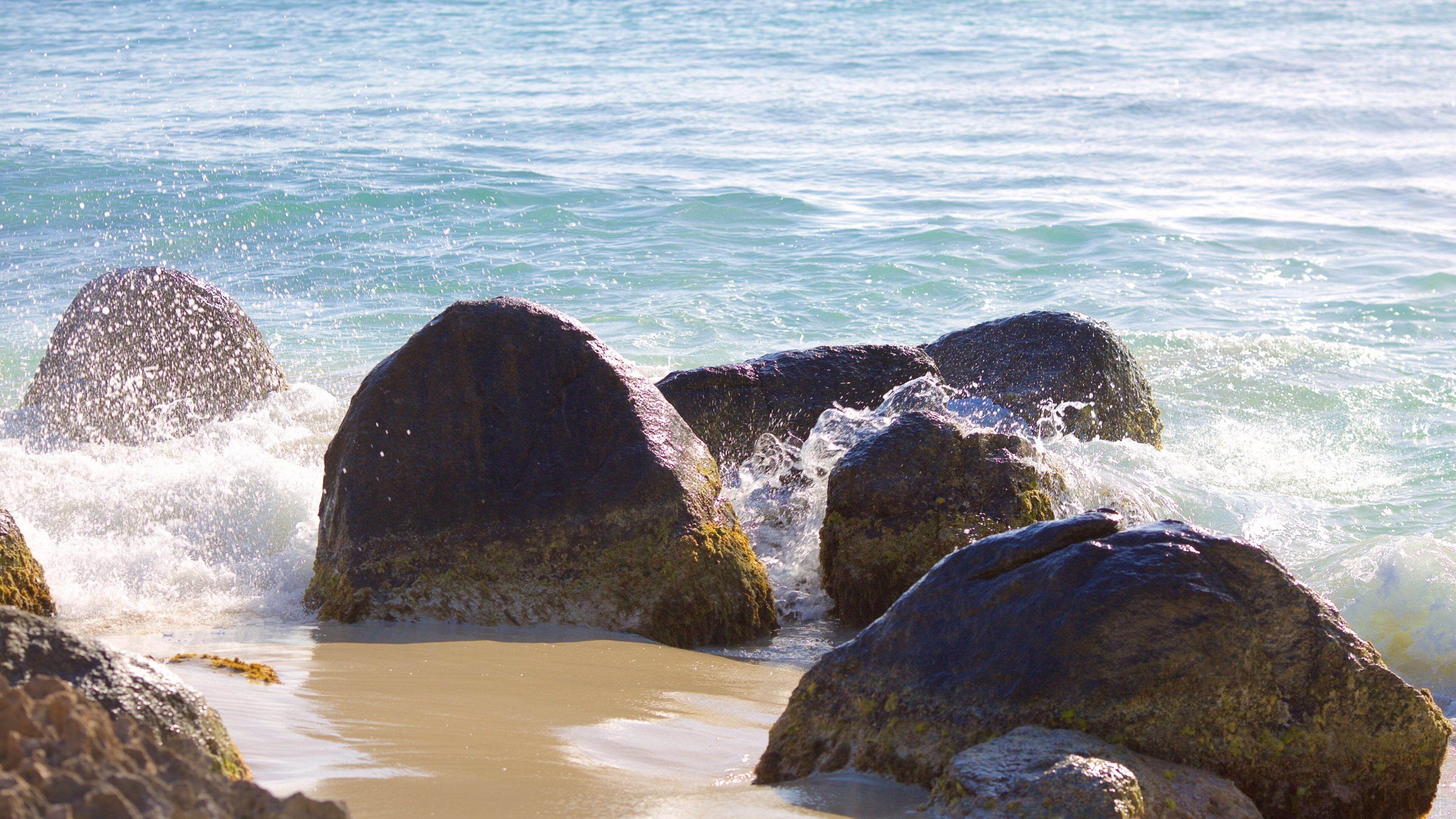 Arashi Beach which includes a beach