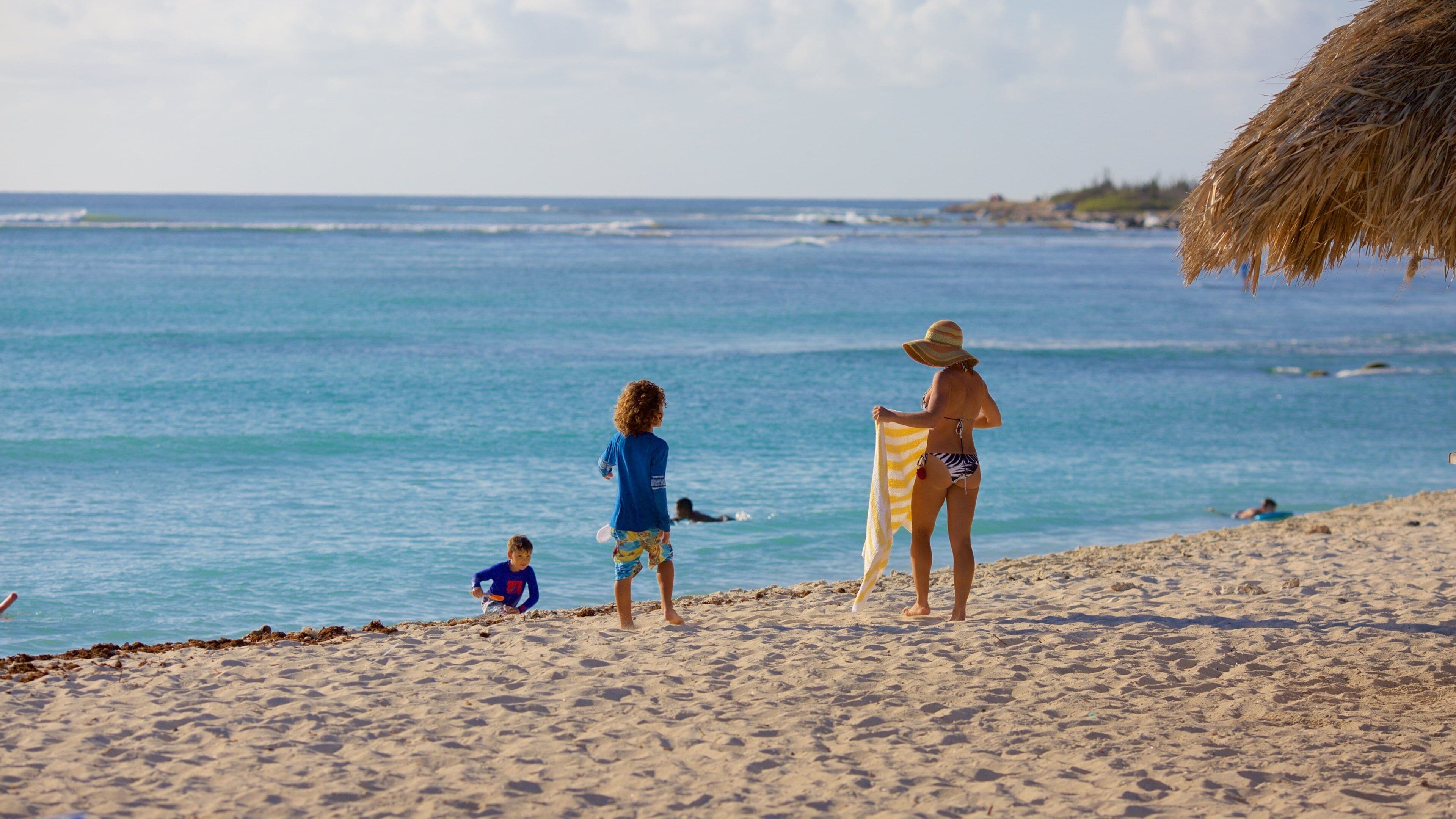 หาด Arashi แสดง ชายหาด ตลอดจน คนกลุ่มเล็ก