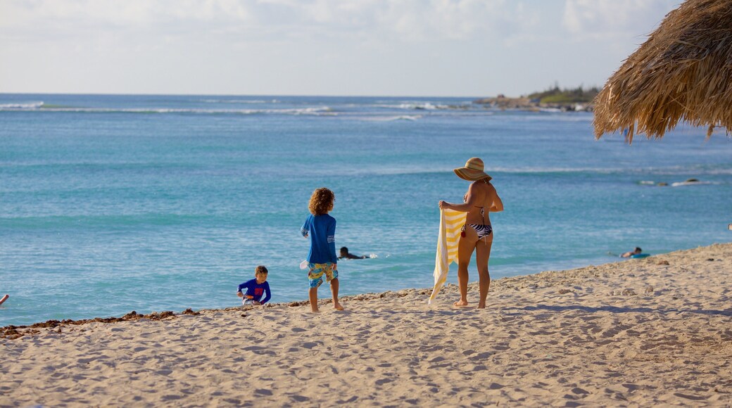 Arashi Beach which includes a sandy beach as well as a small group of people