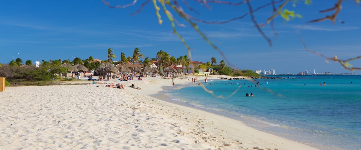 A sandy beach with palm trees and a clear blue sky.