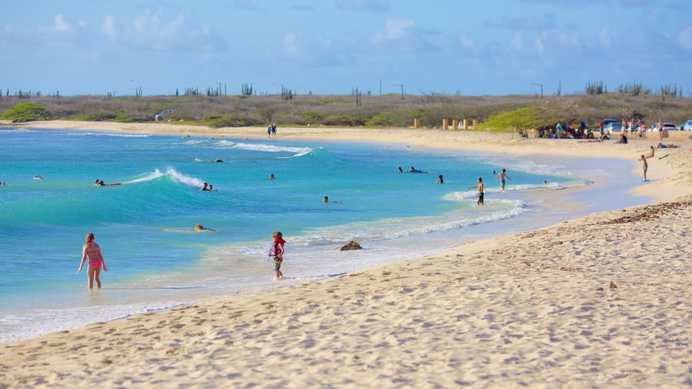 Arashi Beach showing a sandy beach