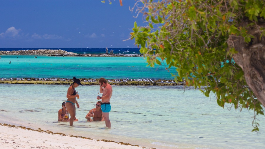 Baby Beach showing a beach as well as a small group of people