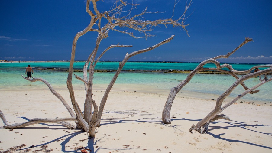 Baby Beach showing a beach
