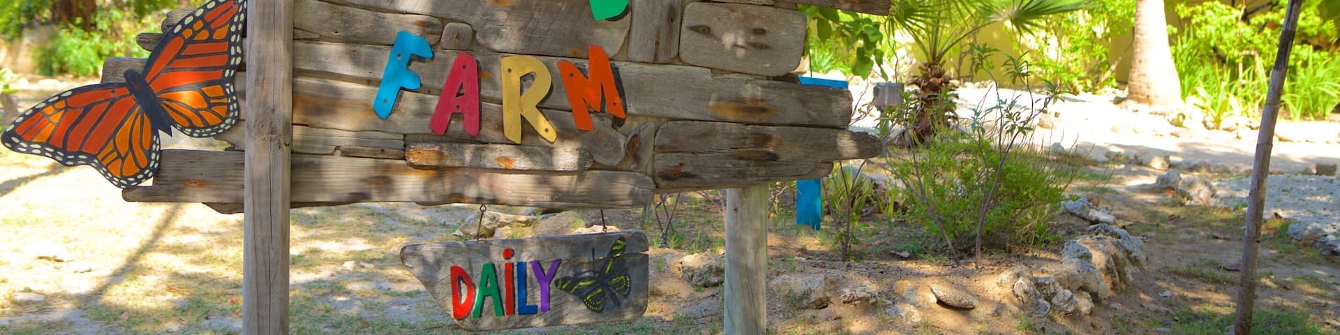 A wooden sign with colorful letters spelling "THE BUTTERFLY FARM" surrounded by butterflies and tropical foliage.