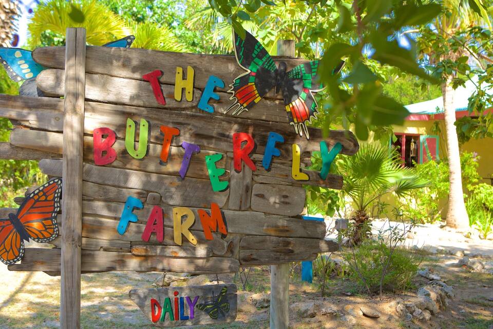 A wooden sign with colorful letters spelling "THE BUTTERFLY FARM" surrounded by butterflies and tropical foliage.