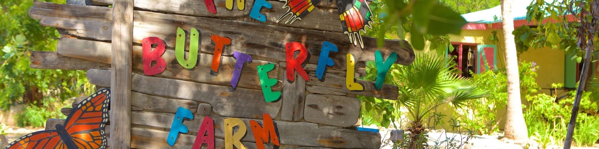 Butterfly Farm which includes signage