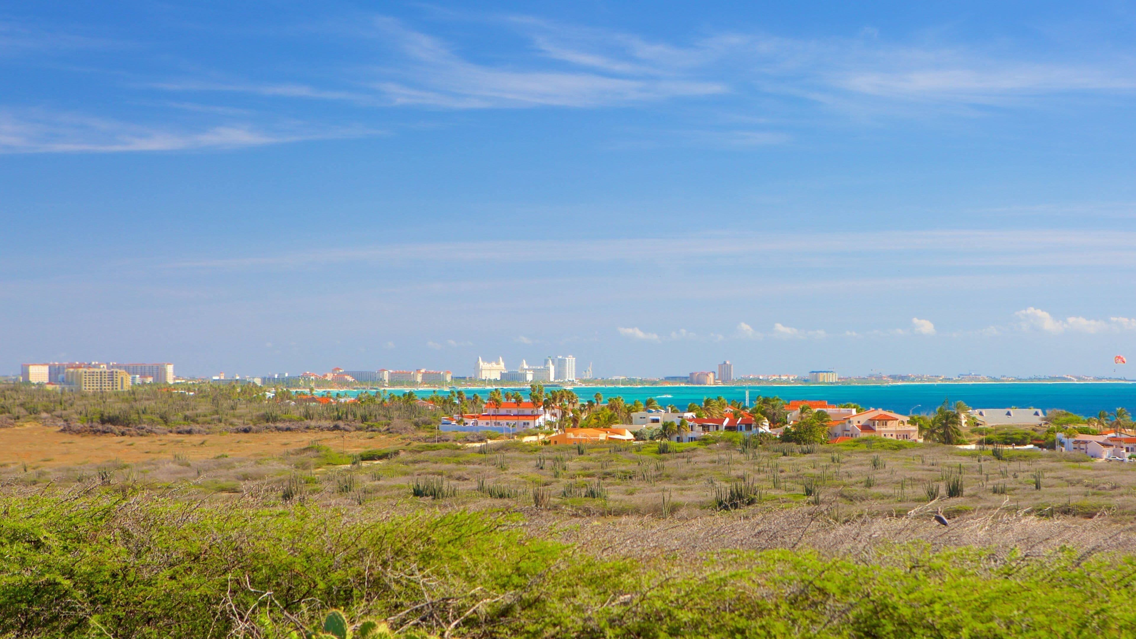 California Lighthouse which includes general coastal views
