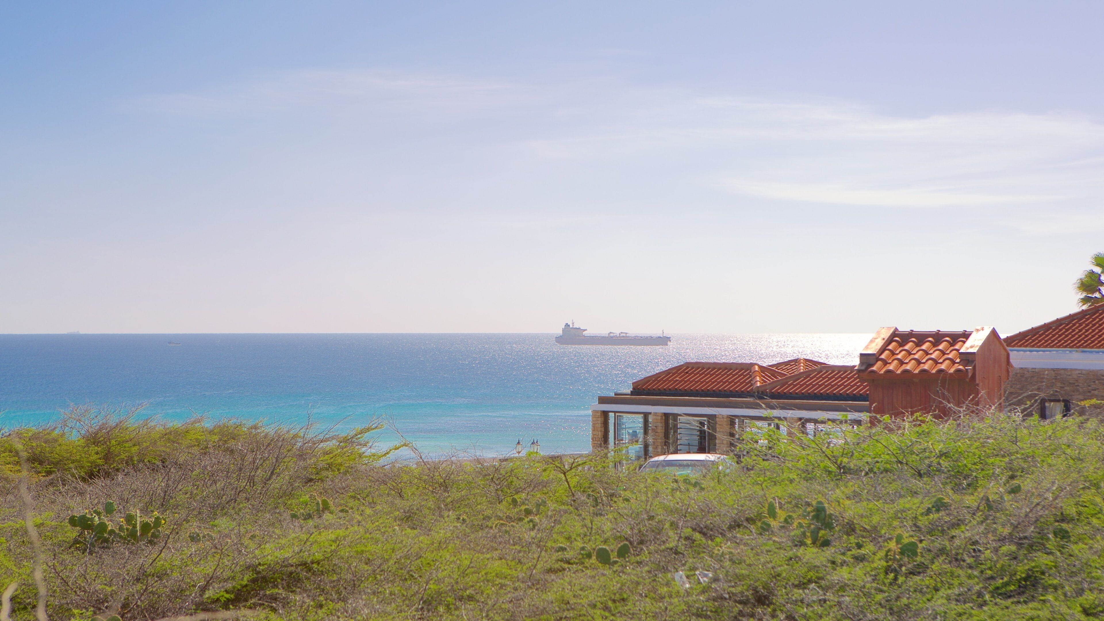 California Lighthouse showing general coastal views