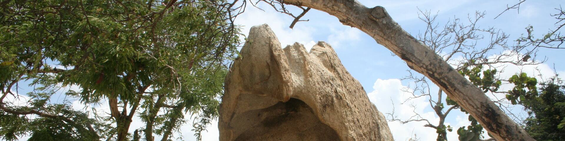 While attending a Conference in Aruba, I was able to tour the island, which doesn't take very long. Interesting place to visit.