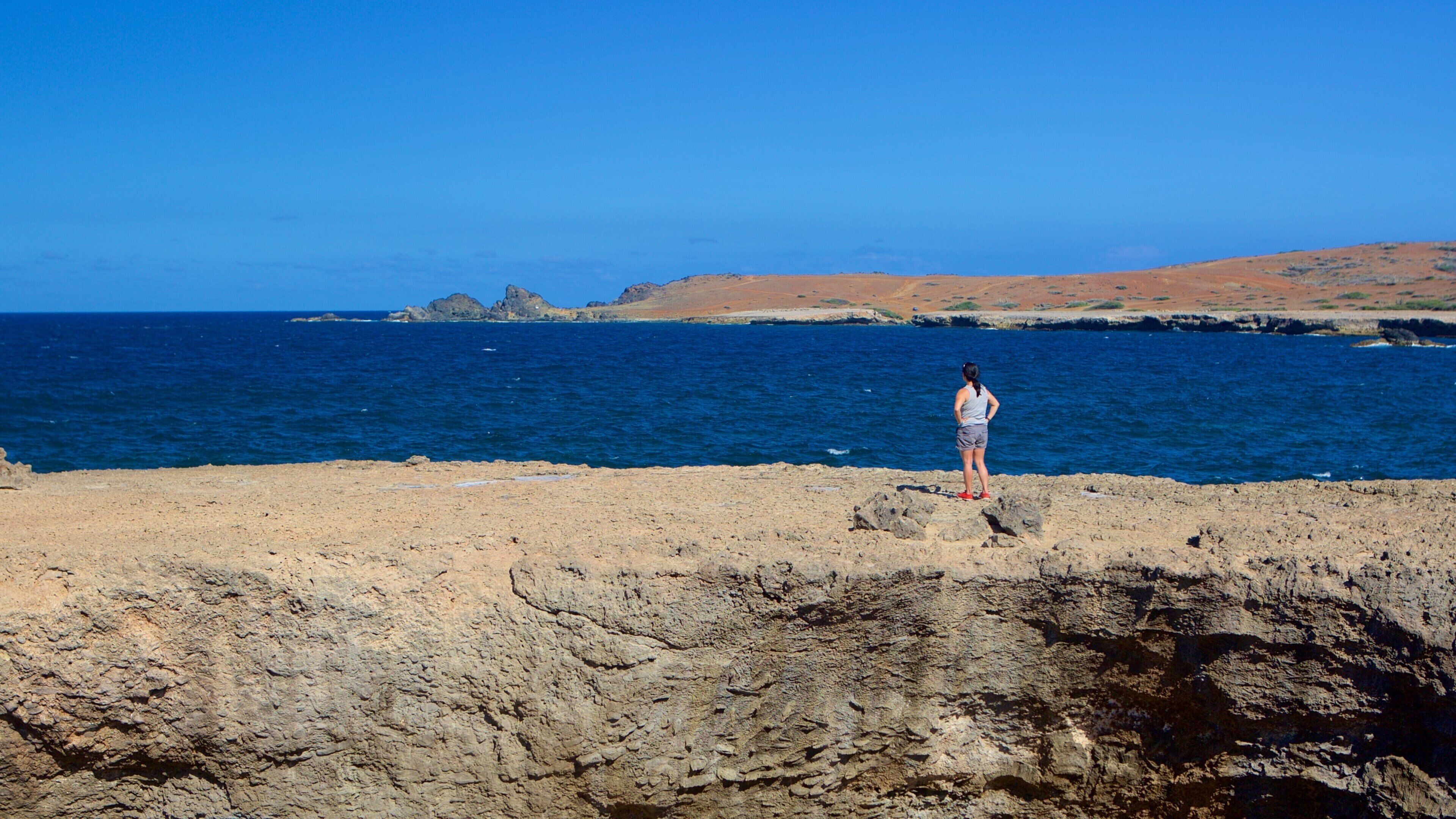 Natural Bridge - Boca Andicuri showing rocky coastline as well as an individual femail