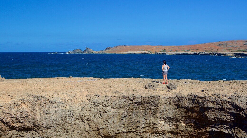 Natural Bridge - Boca Andicuri showing rocky coastline as well as an individual femail