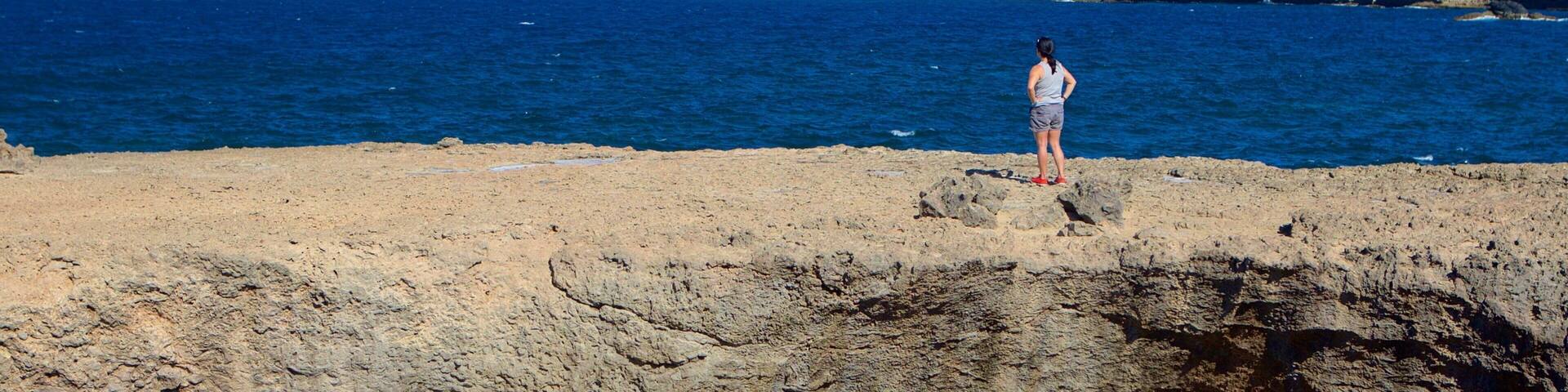 Natural Bridge - Boca Andicuri showing rocky coastline as well as an individual femail
