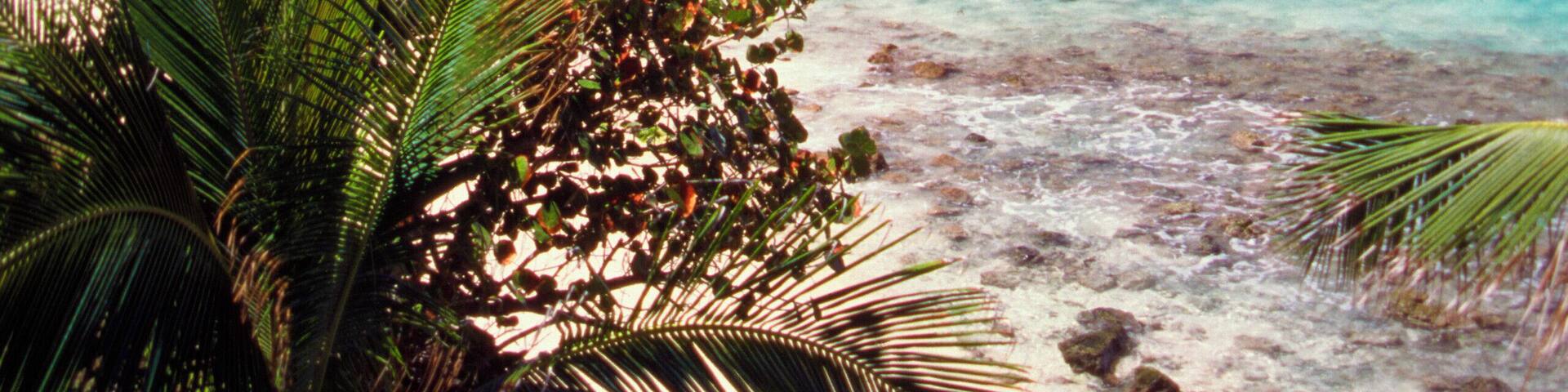 Overhead view of Long Bay beach on Tortola, British Virgin Islands
