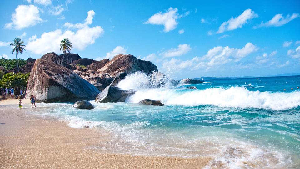 A beach with large rocks, palm trees, and clear blue water.