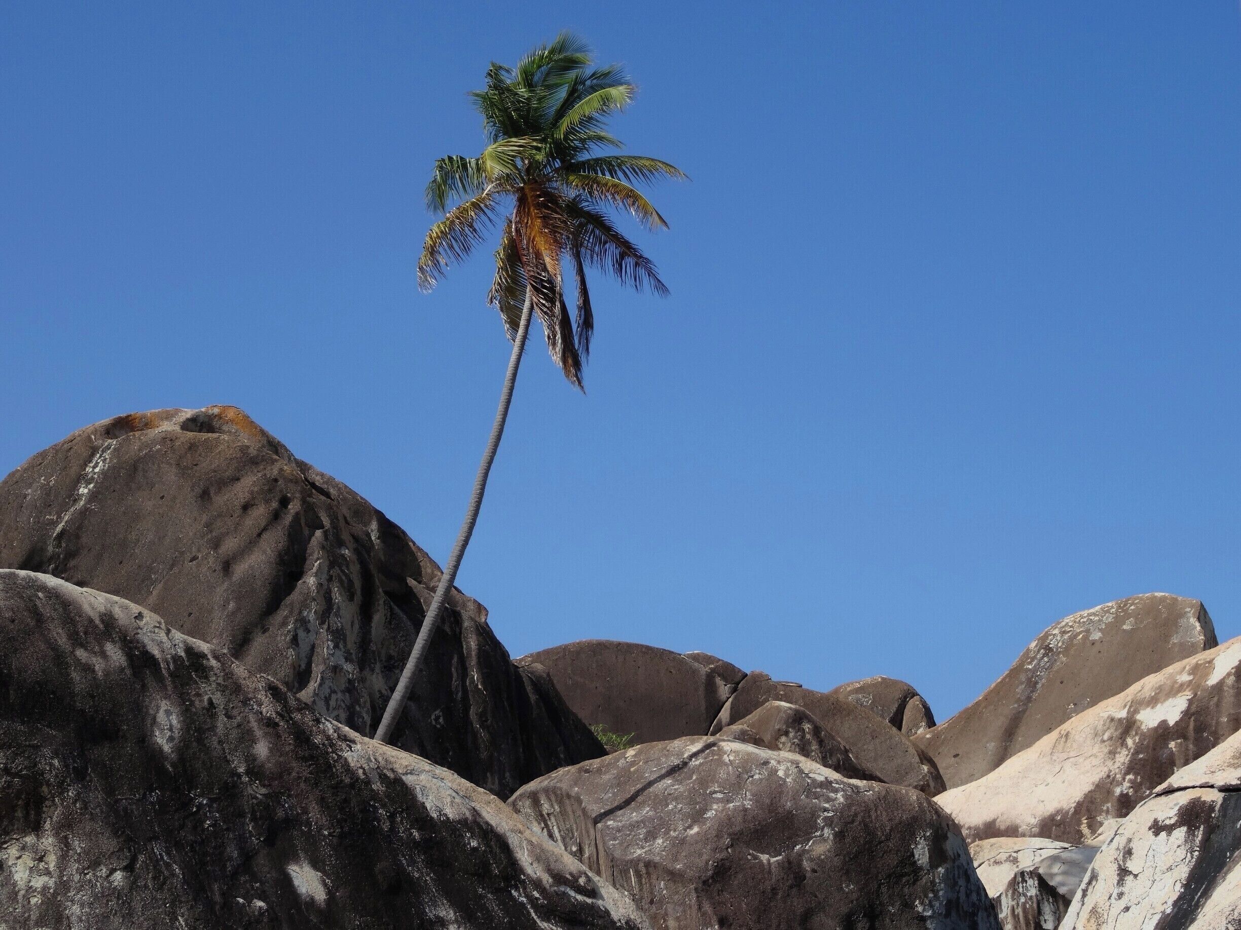 #TheBaths #VirginGorda #GreatOutdoors #Trovember

The Baths are a beach area on the island of Virgin Gorda among the British Virgin Islands in the Caribbean.
At The Baths, the beach shows evidence of the island's volcanic origins, which deposited granite that eroded into piles of boulders on the beach. The boulders form natural tidal pools, tunnels, arches, and scenic grottoes that are open to the sea.

The Baths são uma área de praia na ilha de Virgin Gorda que faz parte das Ilhas Virgens Britânicas no Caribe.
No The Baths, a praia mostra evidências da origem vulcânica da ilha. Foi depositado, na praia, granito que foi erodido formando pilhas de pedregulhos. Estas rochas formam piscinas naturais, túneis, arcos e grutas cênicas abertas para o mar.