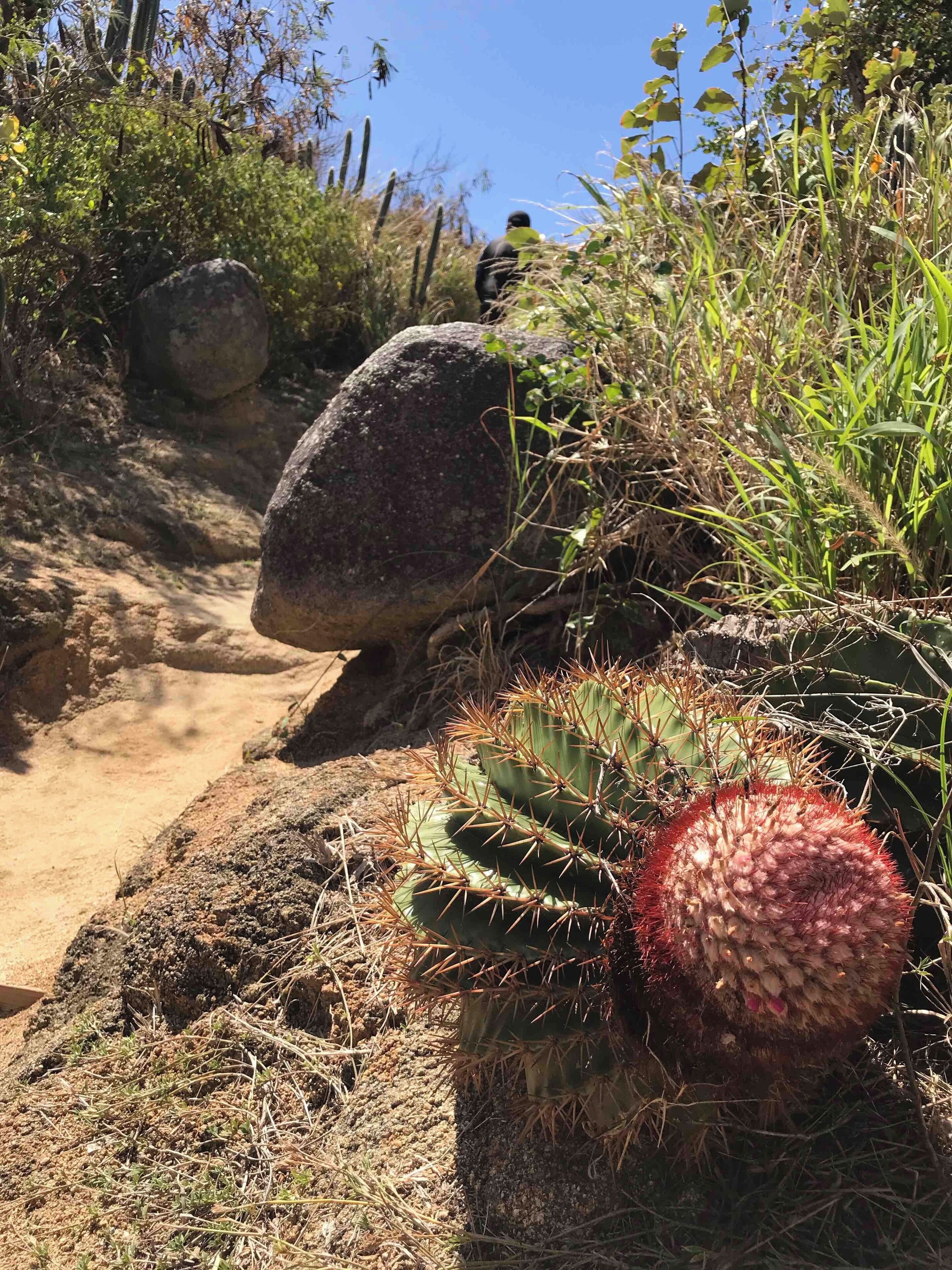 The walk down to the baths is hot but only 15 minutes.