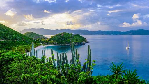 Sprat Bay