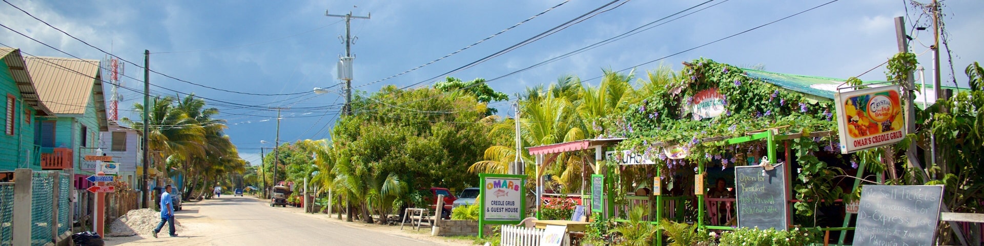 Placencia Beach showing a small town or village