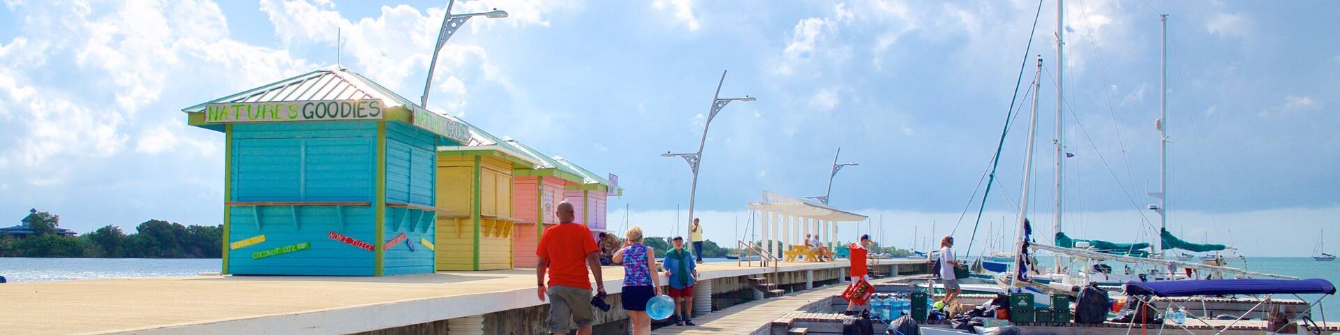 Placencia Beach featuring a marina and general coastal views