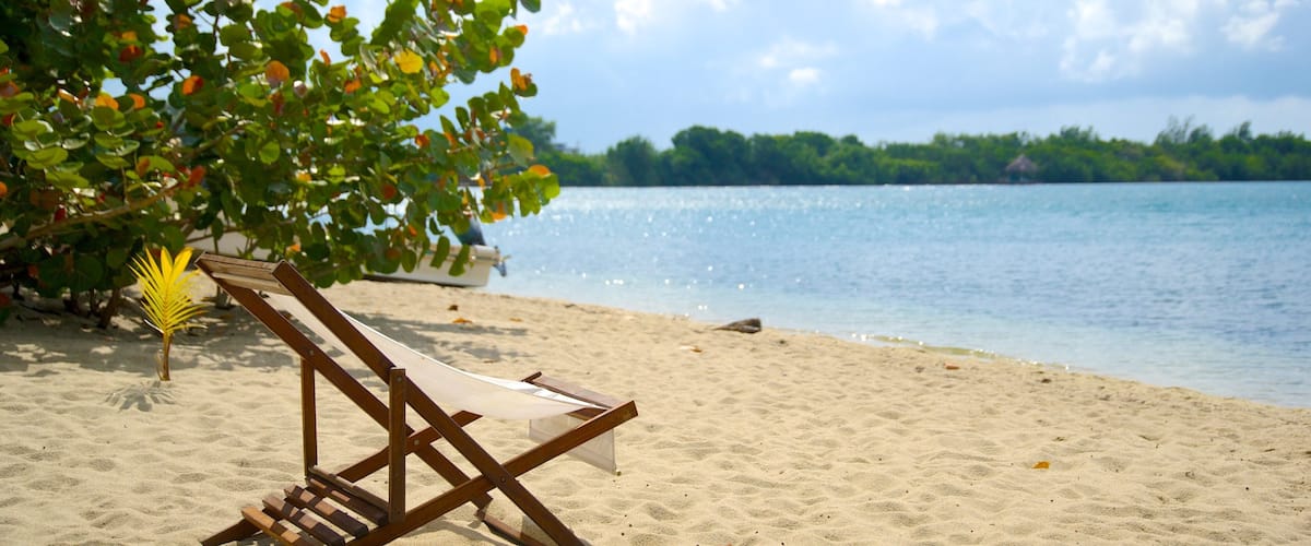 A beach with a wooden lounge chair, a palm tree, and a calm sea.