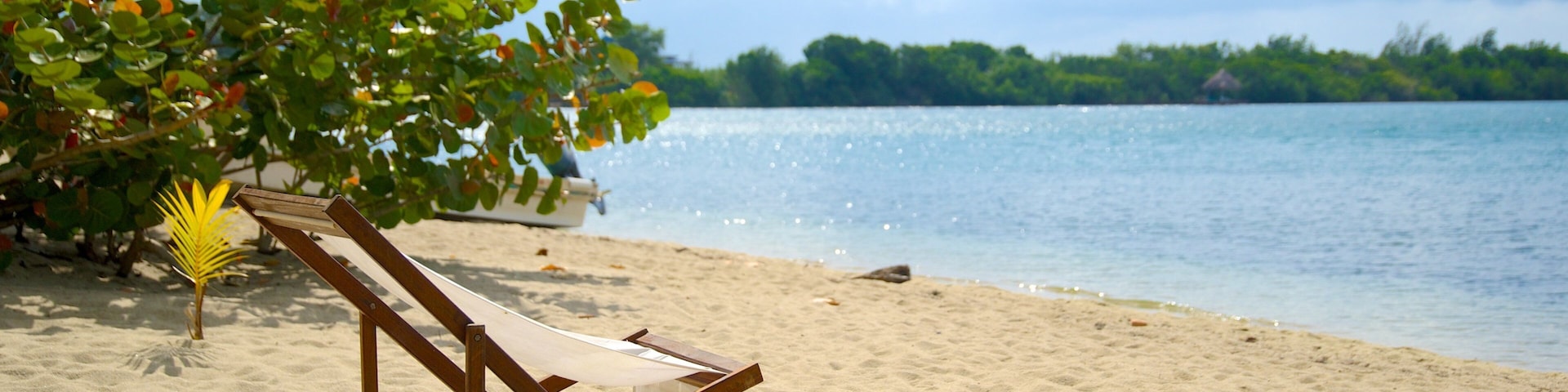 A beach with a wooden lounge chair, a palm tree, and a calm sea.