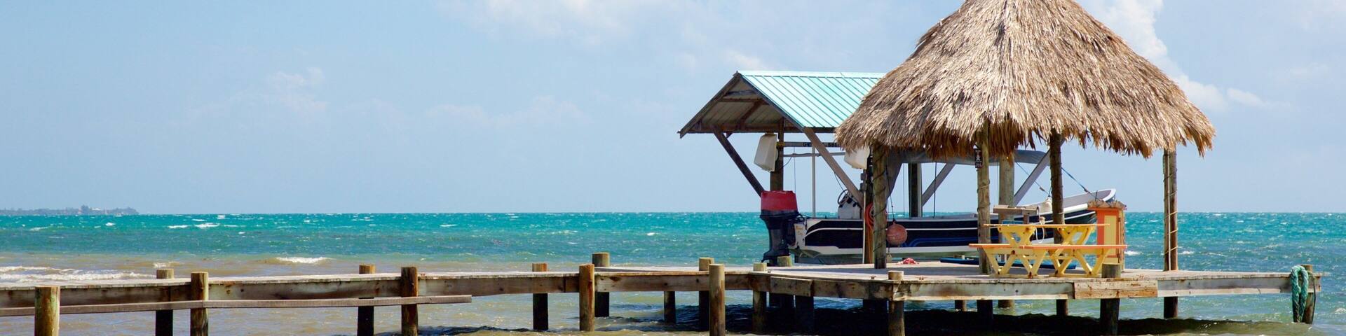 マヤ ビーチ どの含み 海岸線の眺め と 常夏の風景