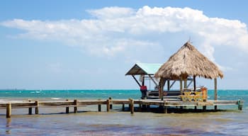 Maya Beach welches beinhaltet tropische Szenerien und allgemeine Küstenansicht