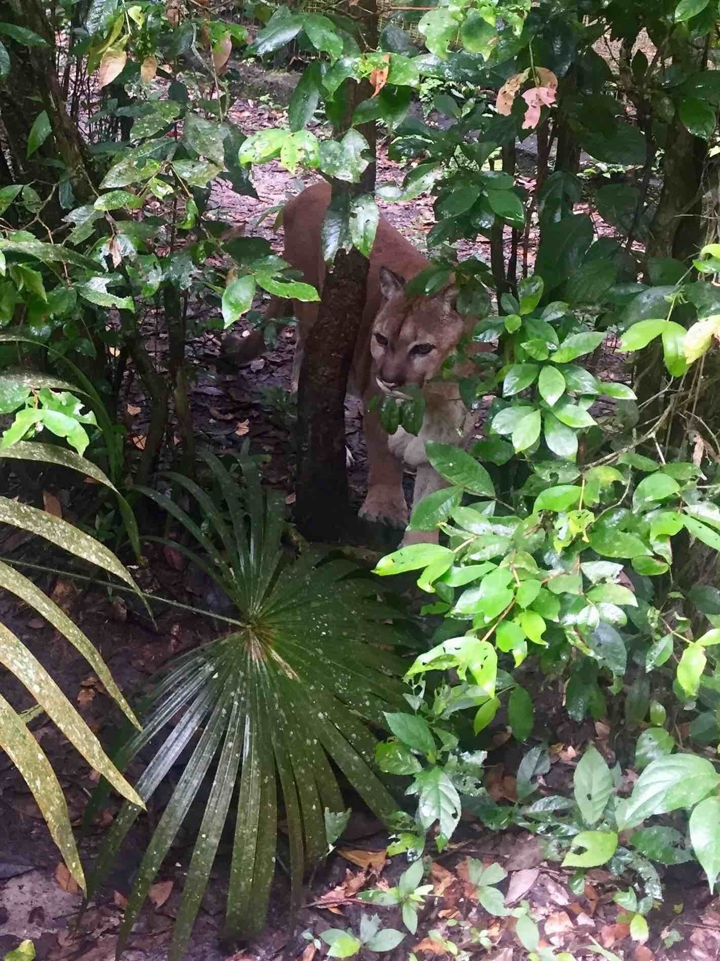 Animal enclosures are natural and spacious here