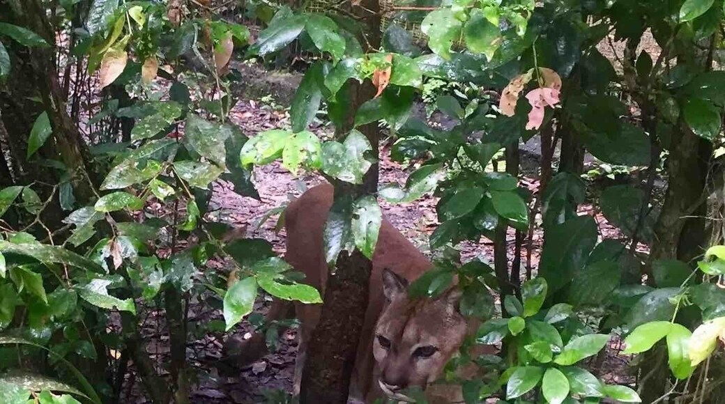 Animal enclosures are natural and spacious here