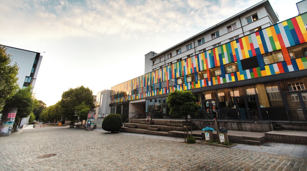 Vrije Universiteit Brussel