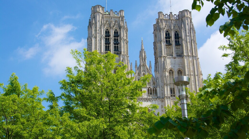 Cathedral of St. Michael showing a church or cathedral, a city and heritage architecture
