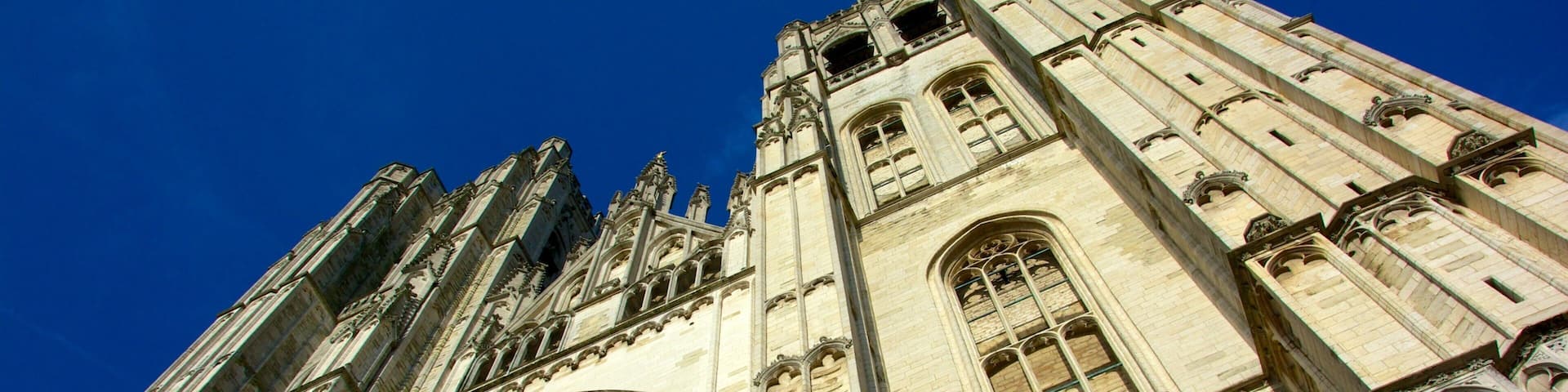 Cathédrale Saints Michel et Gudule mettant en vedette église ou cathédrale, patrimoine architectural et aspects religieux